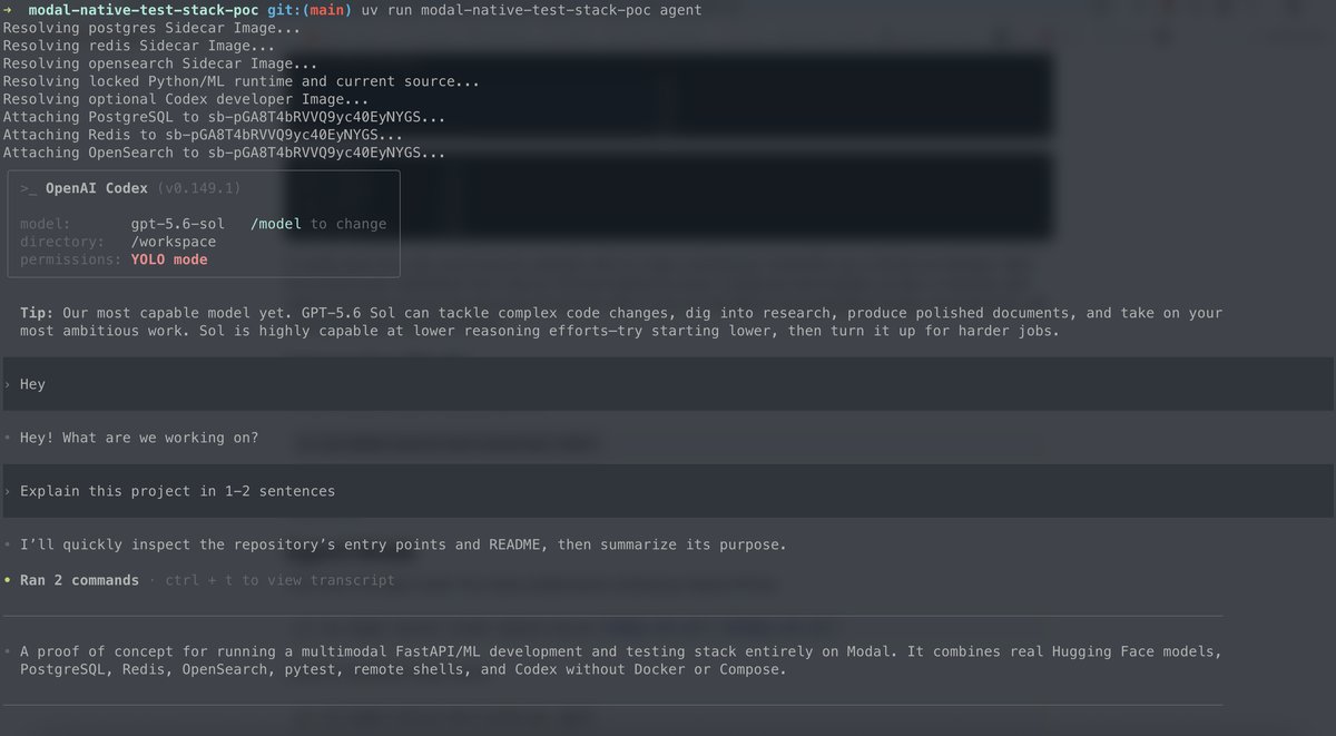 Running an interactive Codex coding agent inside the prepared Modal environment