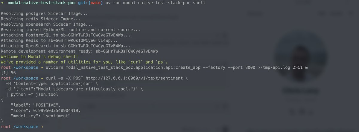 Running the FastAPI application and real sentiment inference from an interactive Modal shell