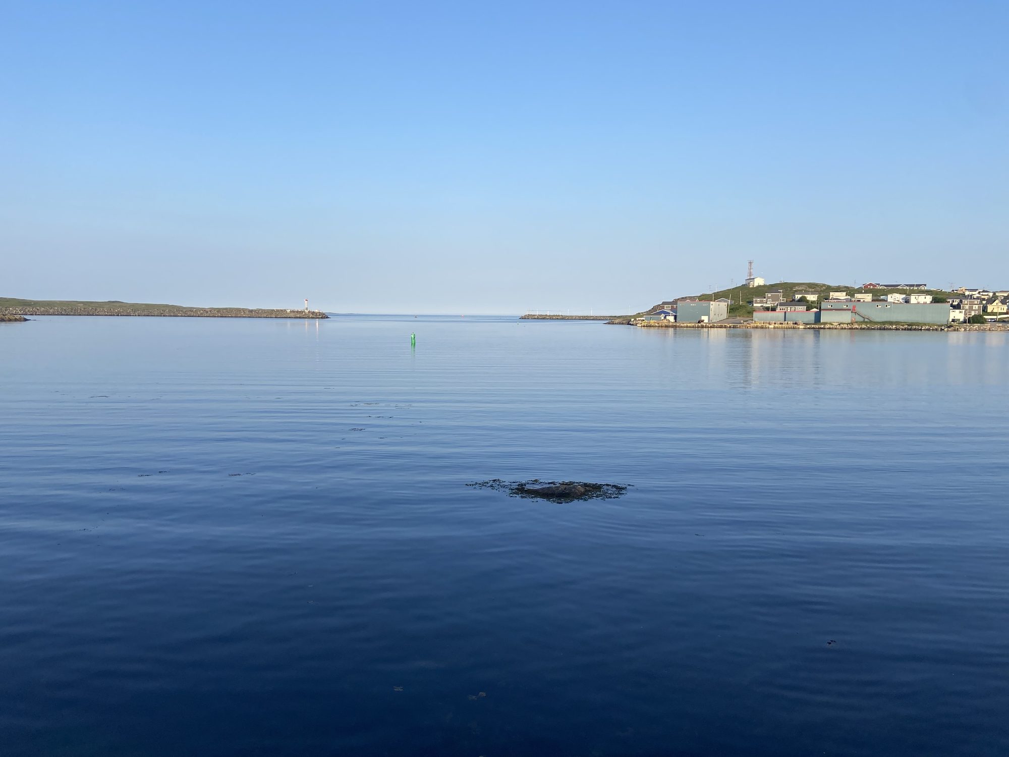 Harbour in Port aux Basques