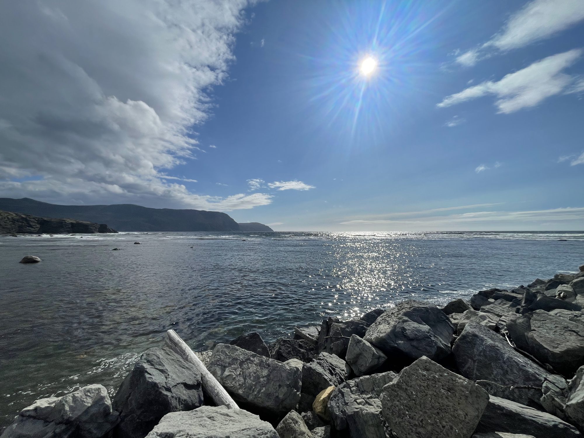 Rocky shoreline under a bright Newfoundland sky