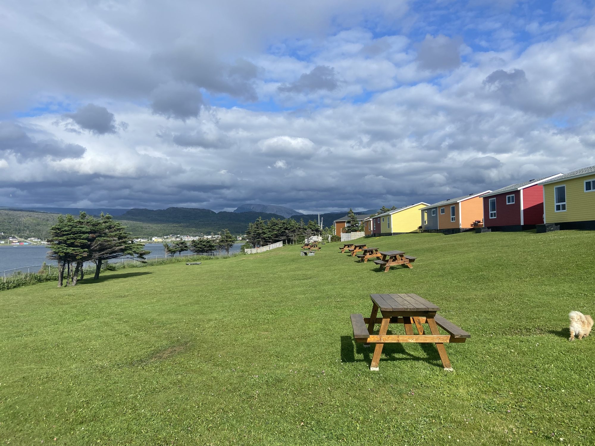 Colourful cabins in Rocky Harbour