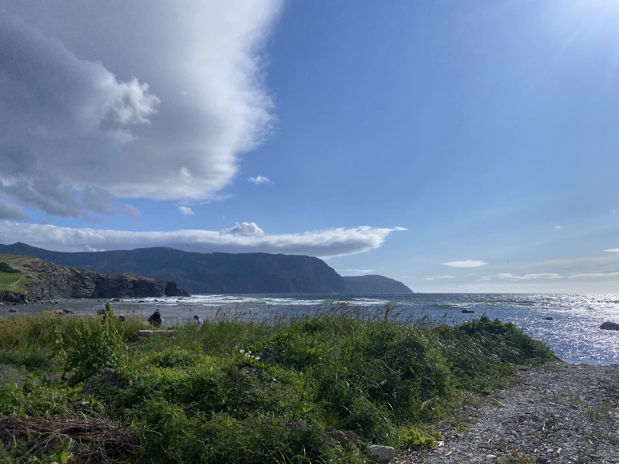 Coastal view near Rocky Harbour