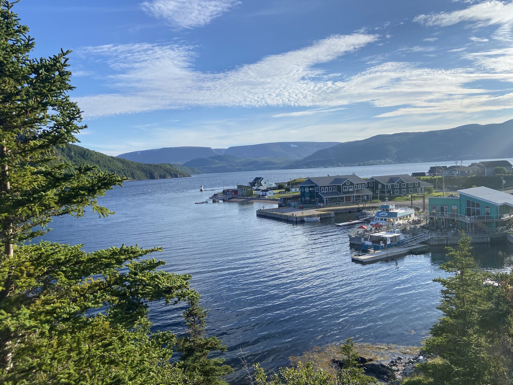 Bonne Bay and Norris Point from above