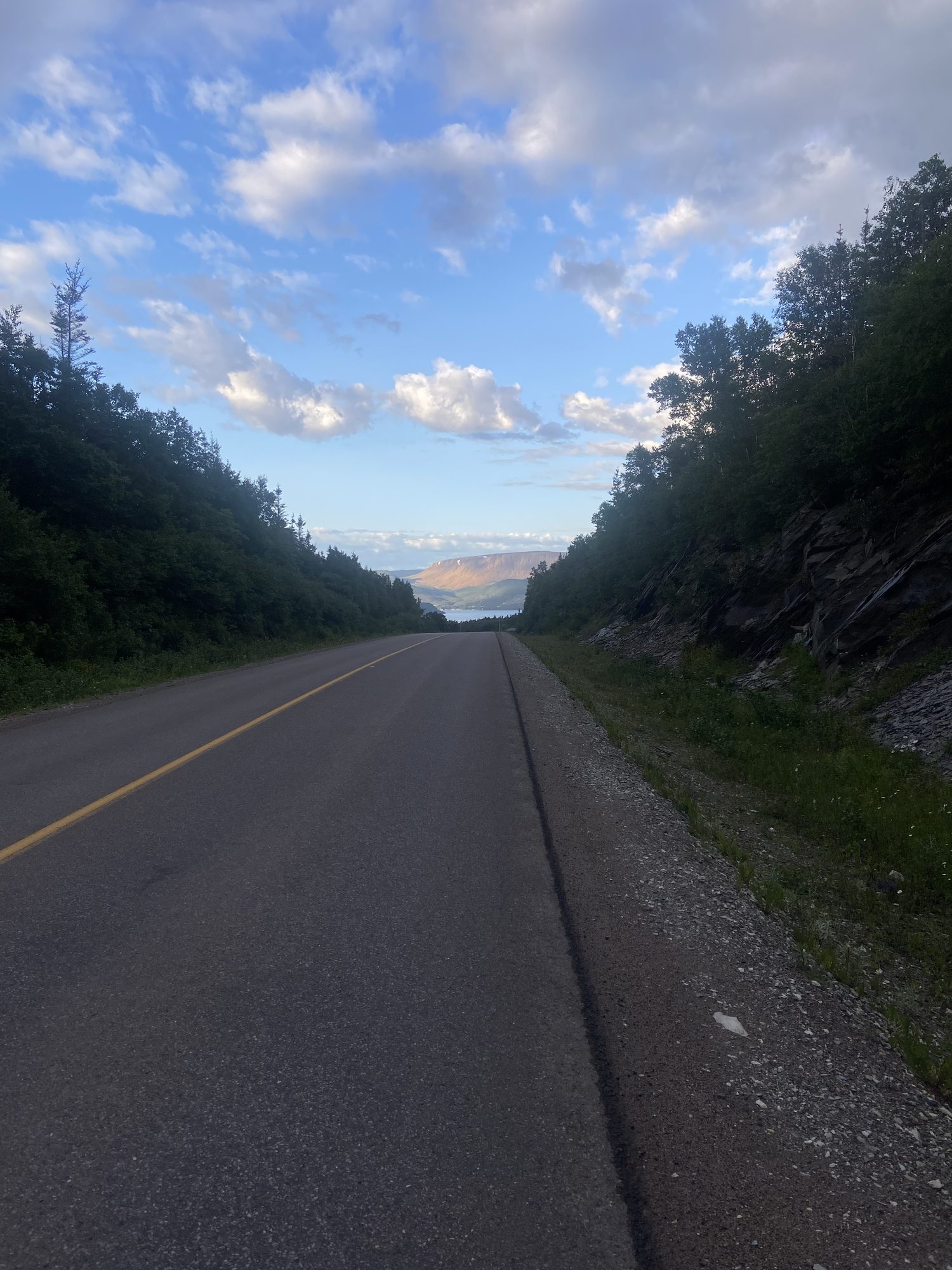 Road through the Bonne Bay area