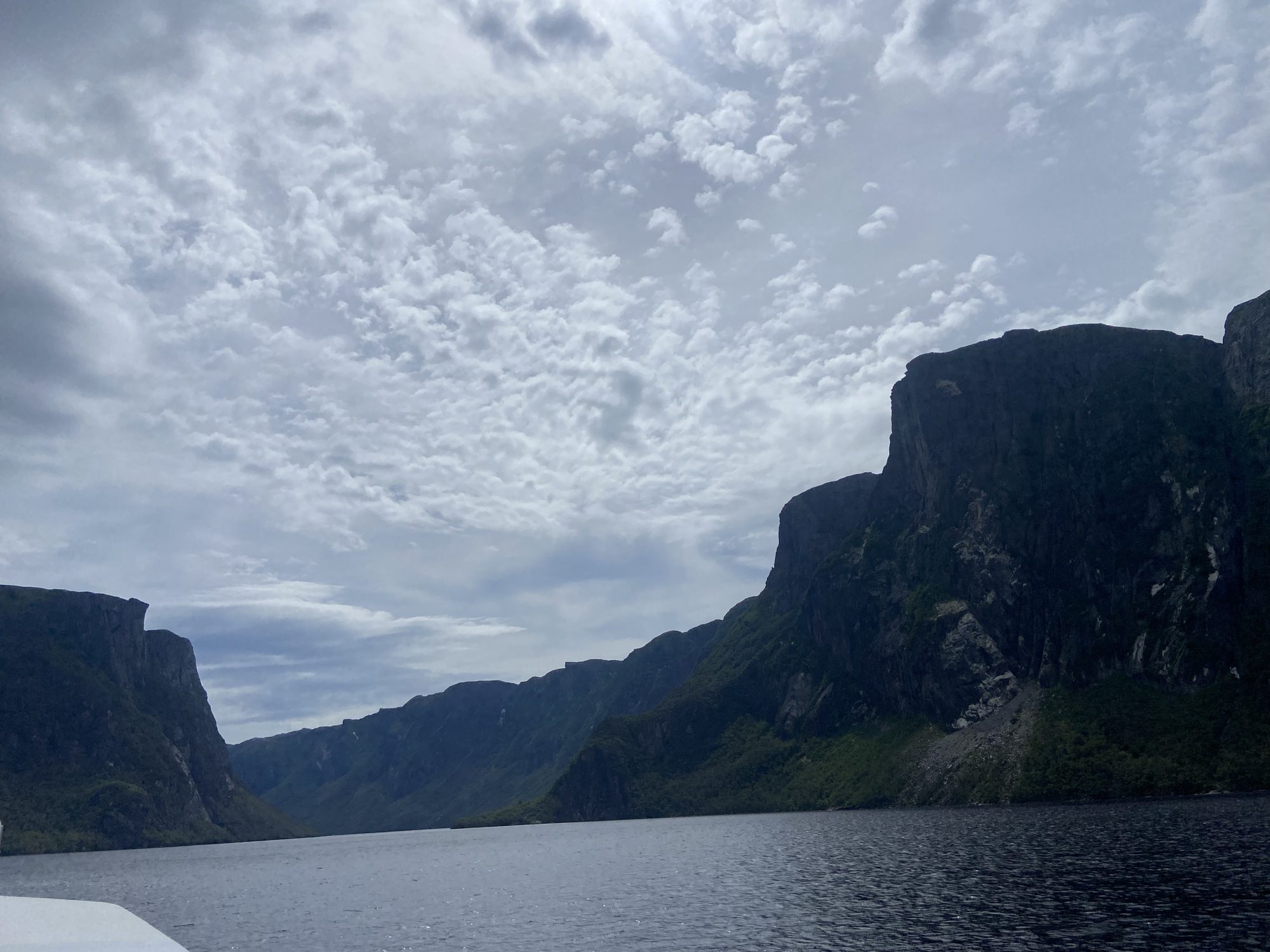 Cliffs rising from Western Brook Pond
