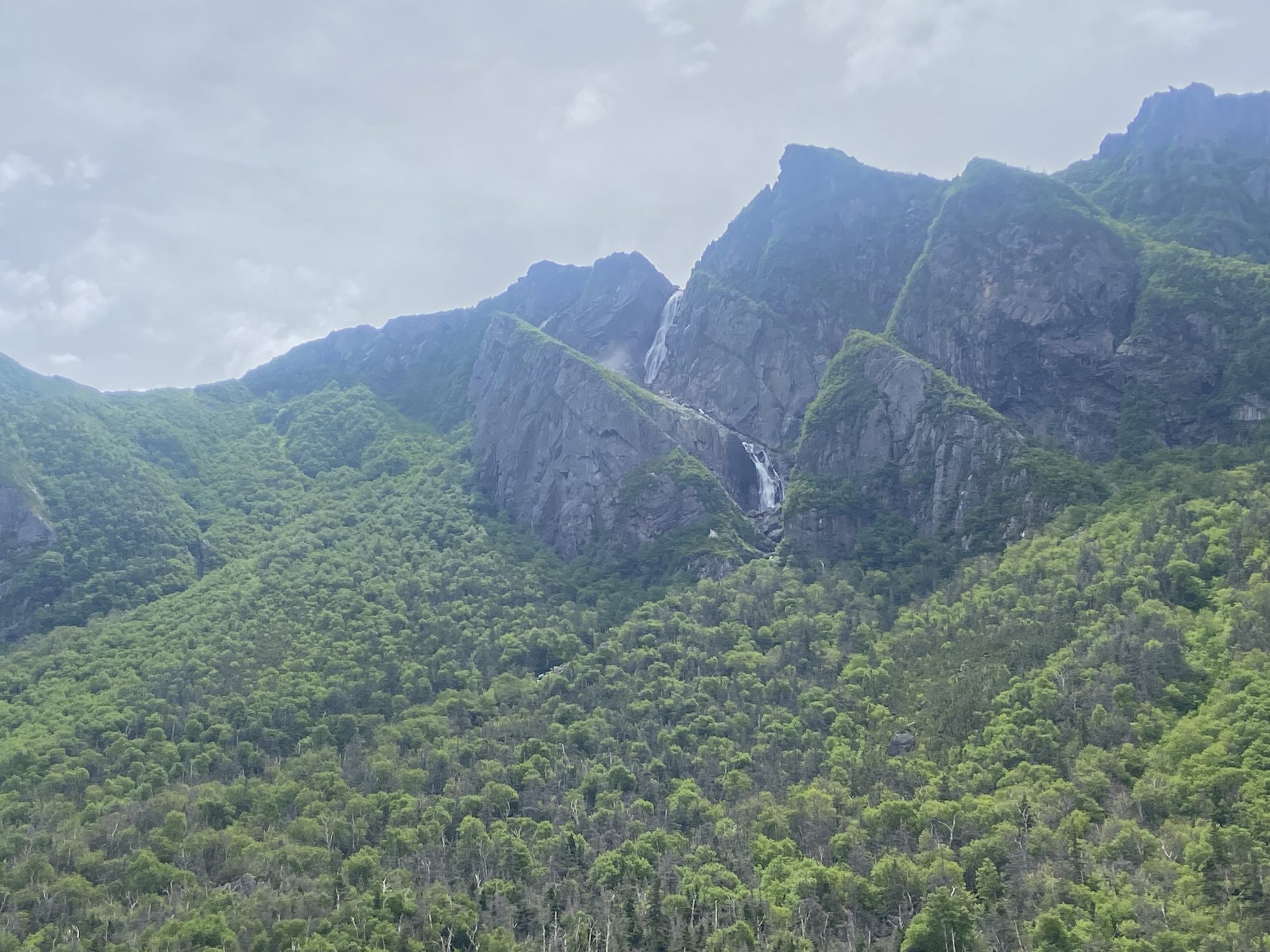 Green cliffs in Western Brook Pond