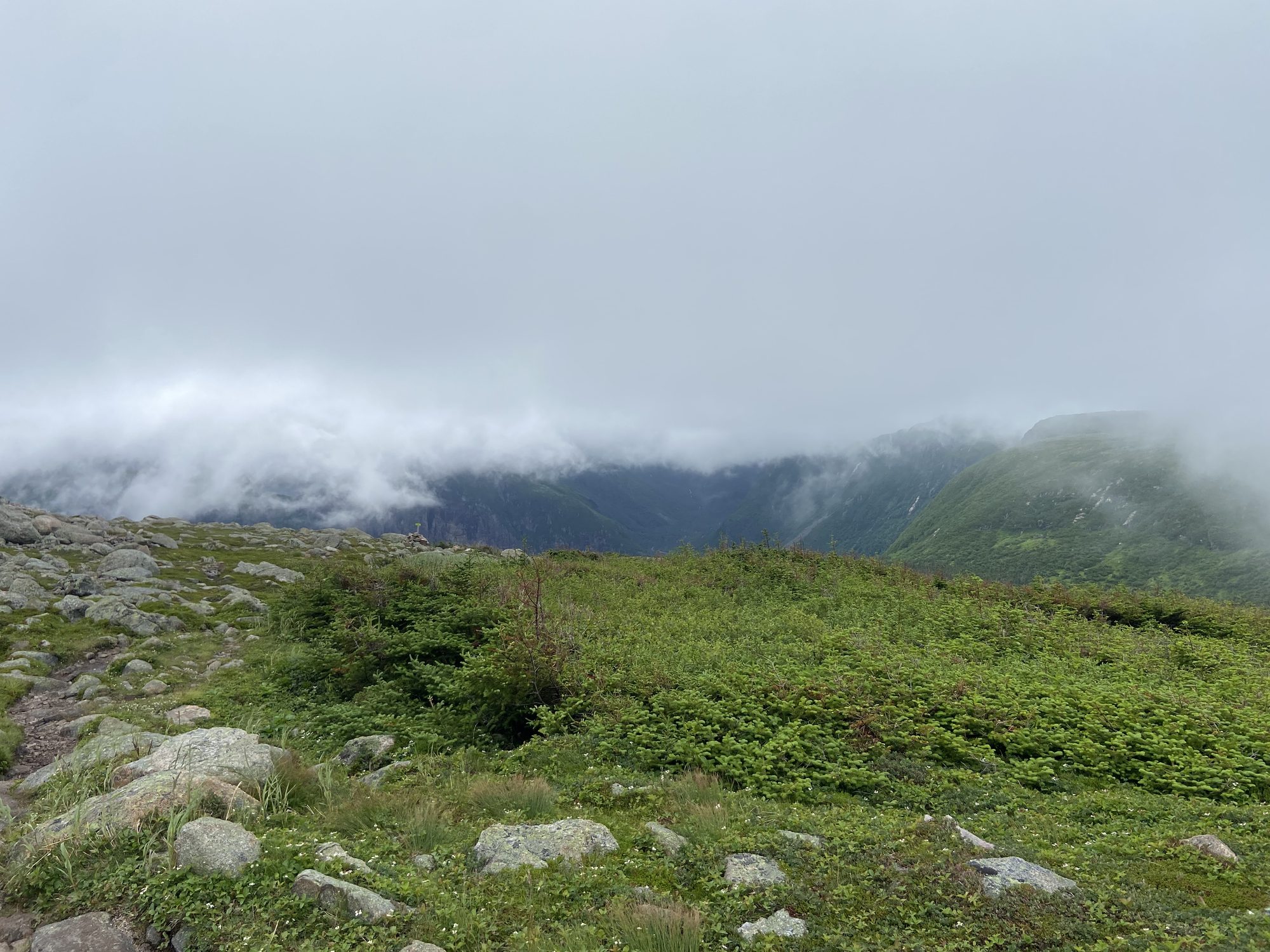 Fog rolling over the mountains in Gros Morne