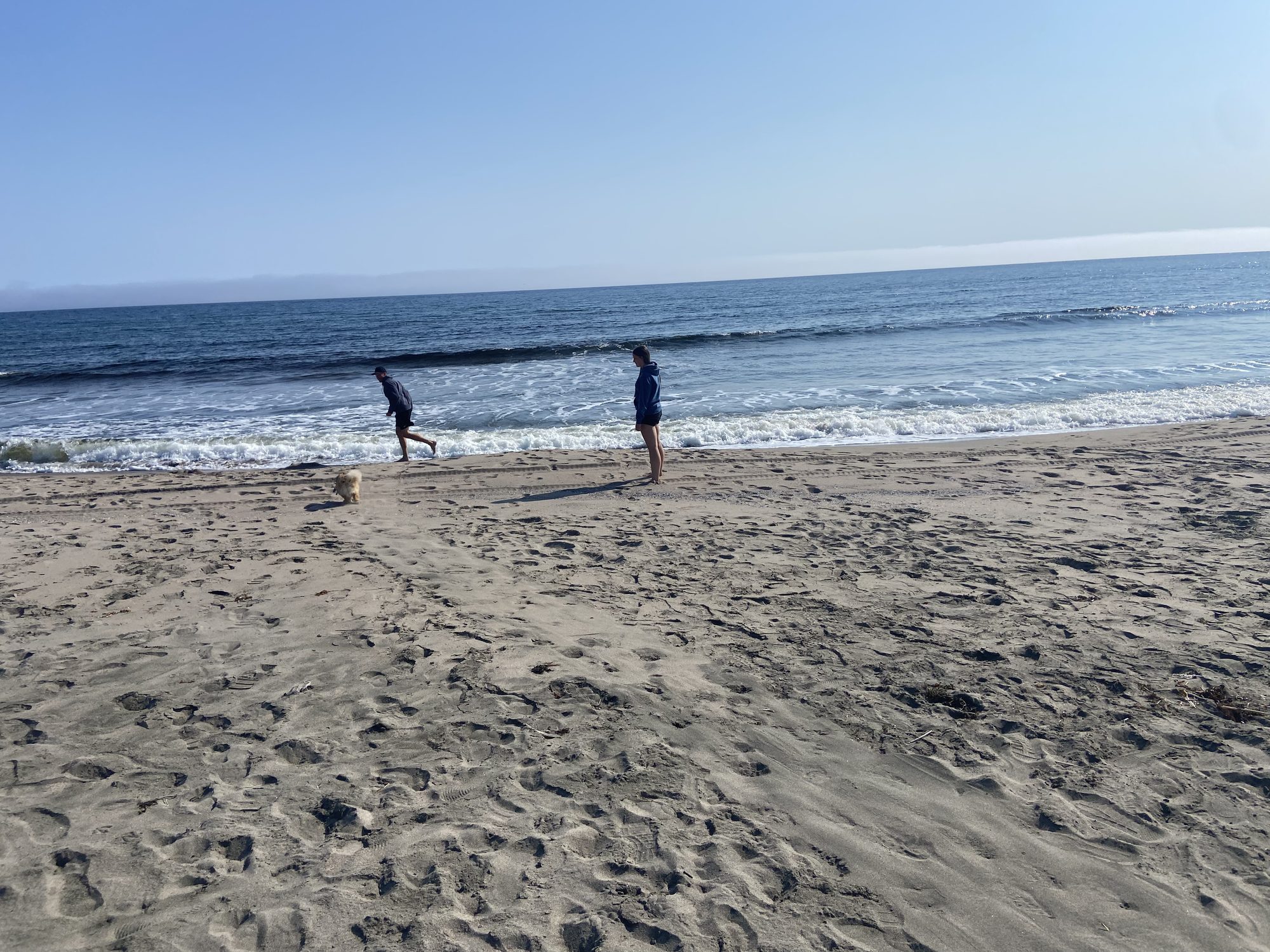 Family walking along the beach at J.T. Cheeseman Provincial Park