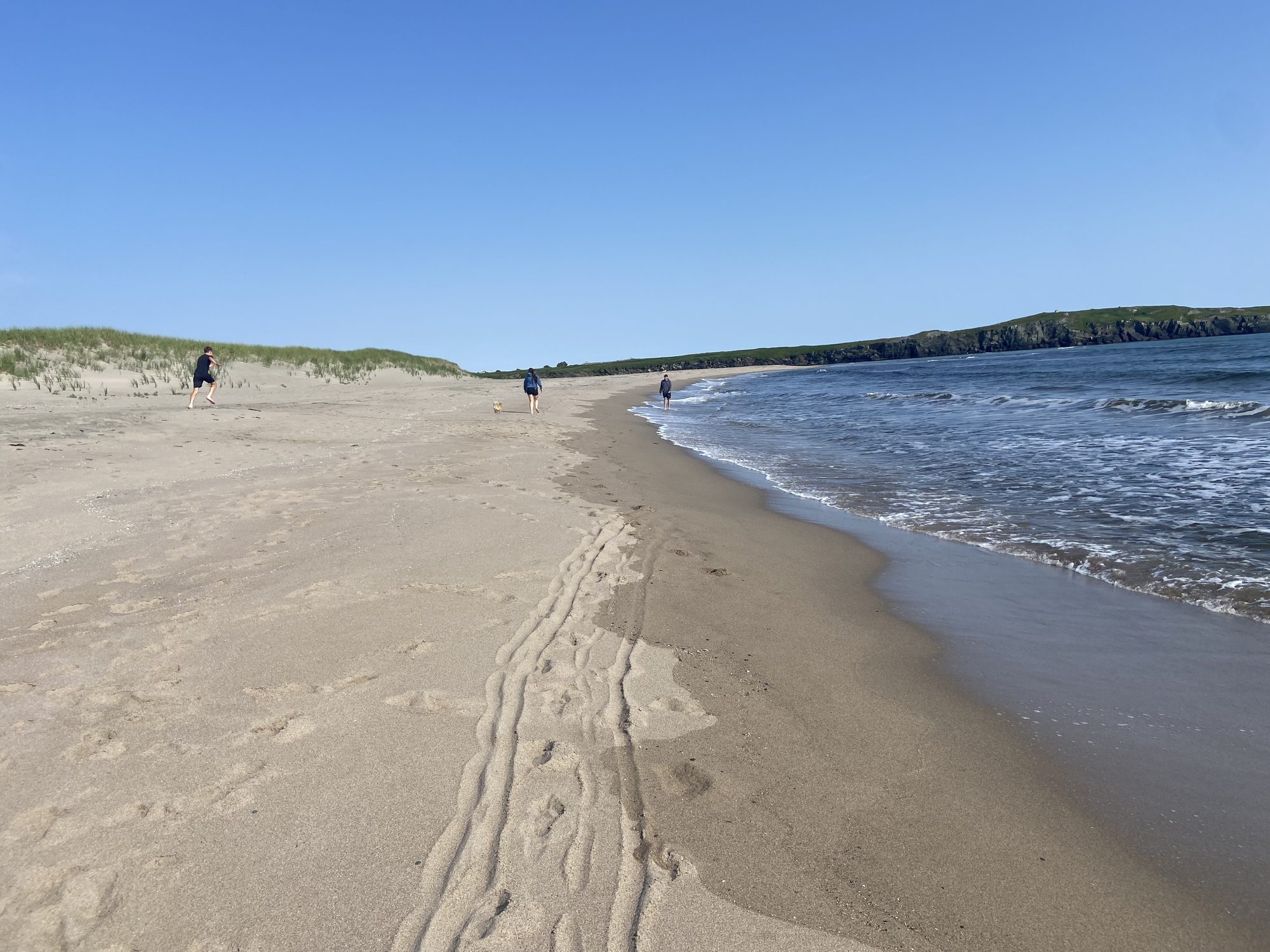 Sandy shoreline at J.T. Cheeseman Provincial Park