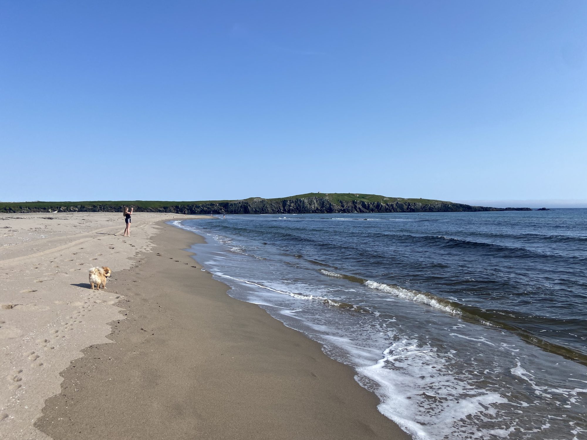 Beach and rocky coastline at J.T. Cheeseman Provincial Park